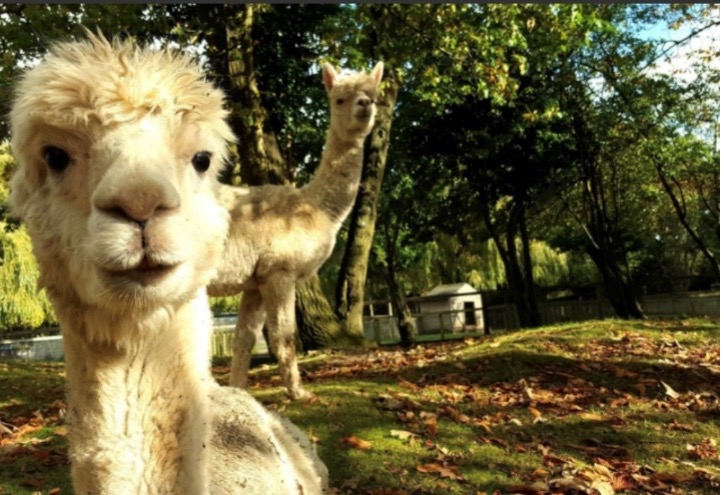 10 things to do with kids in North West London