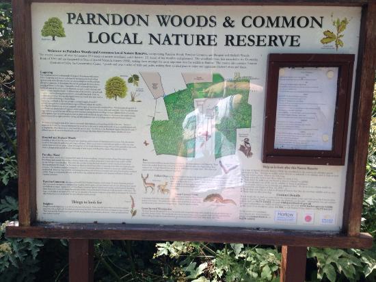 Free things to do in Harlow